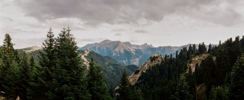 Θερινό Εργαστήρι Κοινωνικής Οικολογίας 2022 Θερινό Εργαστήρι Κοινωνικής Οικολογίας 2022